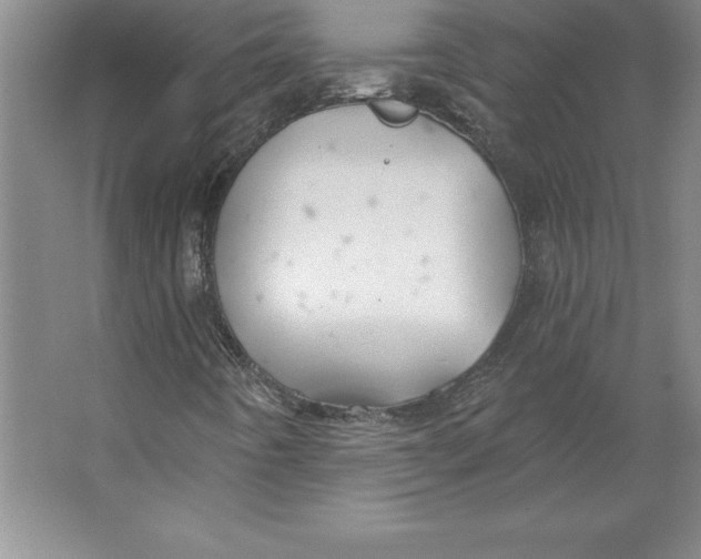 X0000062141442200512301515