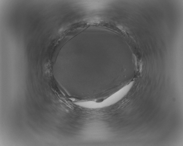 X0000062141445200512301515