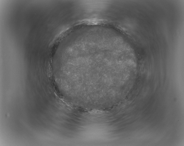 X0000062141446200512301515