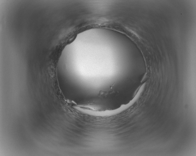 X0000062141447200512301515