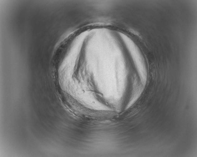 X0000062141448200512301515