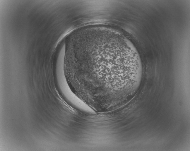 X0000062141450200512301515