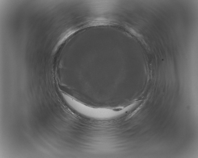 X0000062141453200512301515