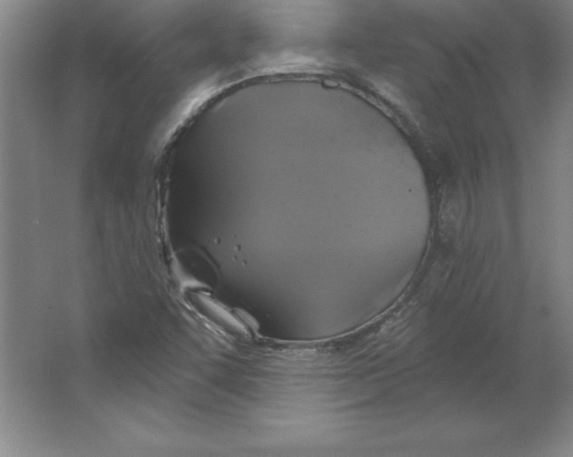 X0000062141455200512301515