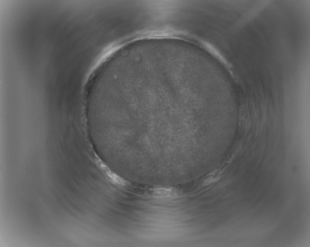 X0000062141456200512301515