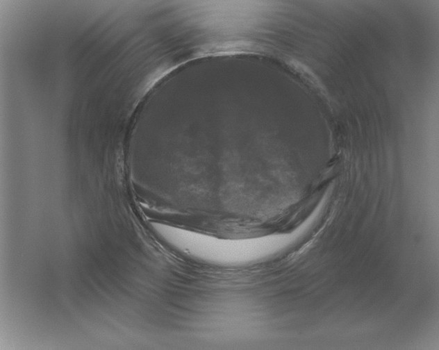 X0000062141457200512301515