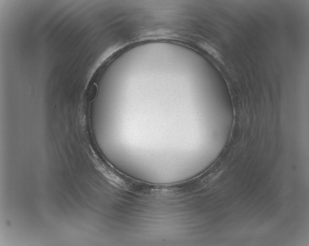 X0000062141458200512301515