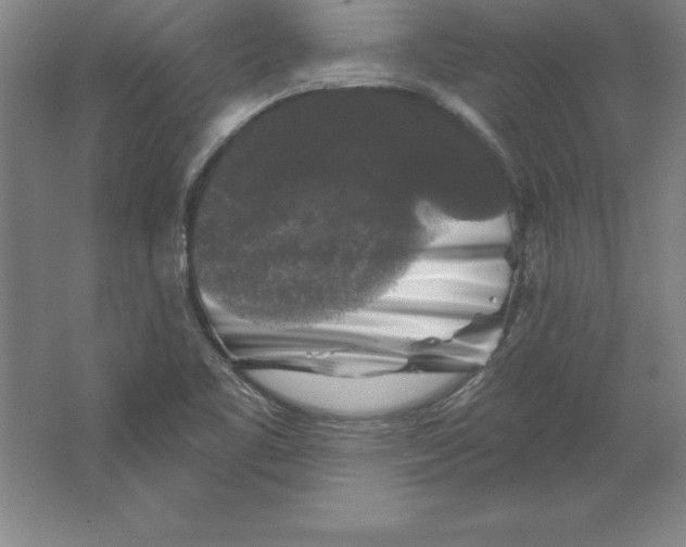 X0000062141461200512301515