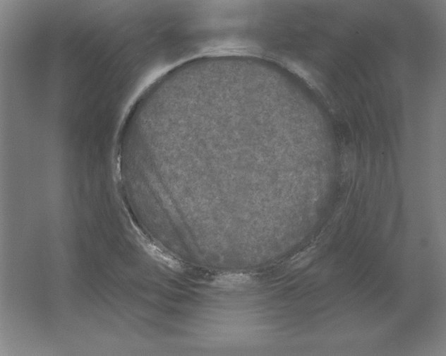 X0000062141462200512301515