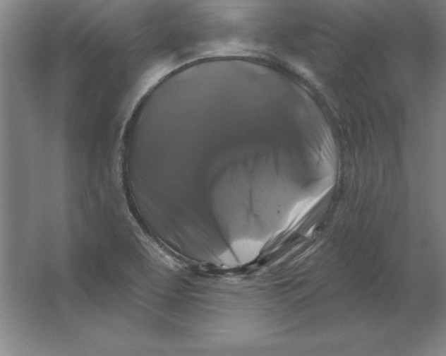 X0000062141463200512301515