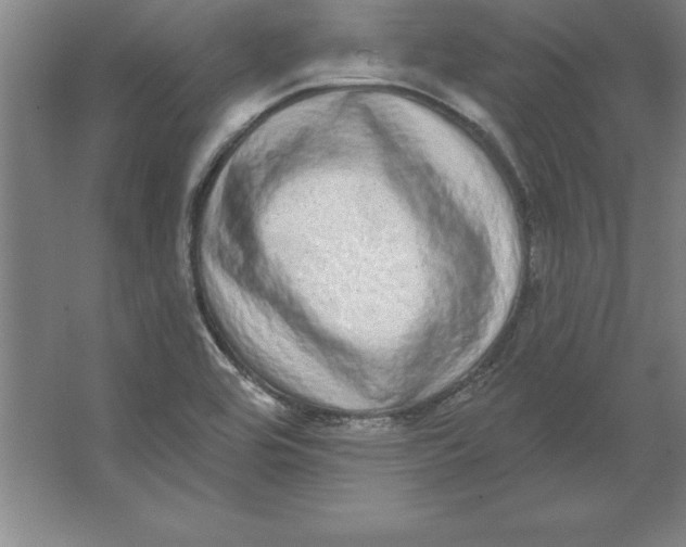 X0000062141464200512301515