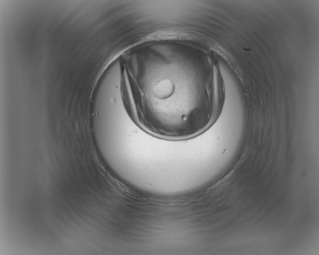 X0000062141465200512301515