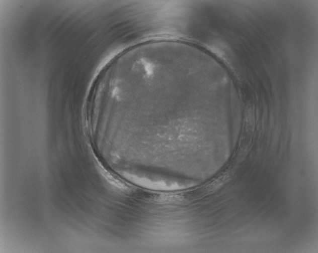 X0000062141466200512301515