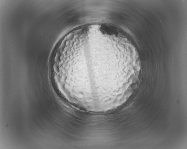 X0000062141467200512301515