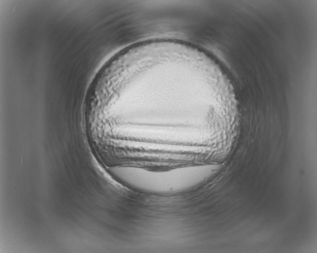 X0000062141468200512301514