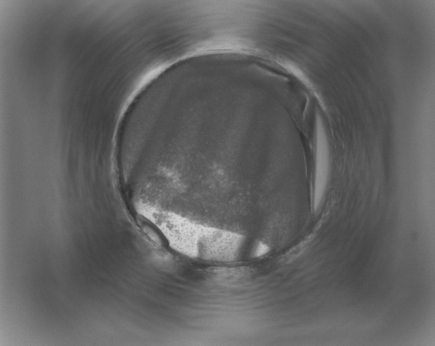 X0000062141469200512301514