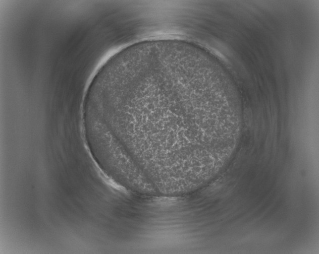 X0000062141470200512301514