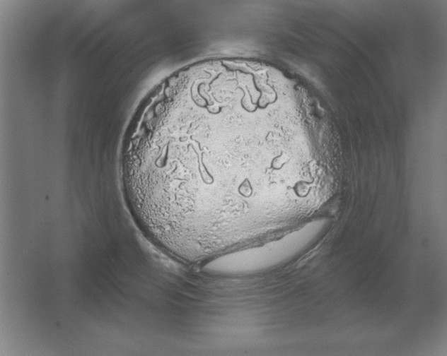 X0000062141471200512301514