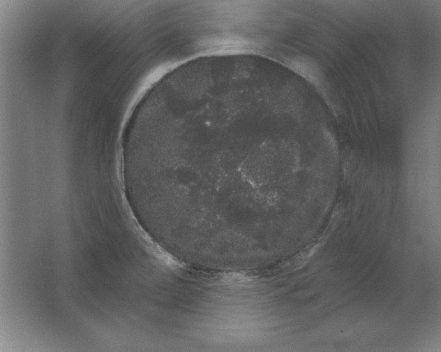 X0000062141472200512301514