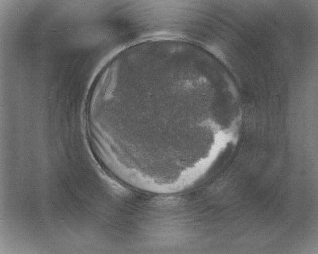 X0000062141474200512301514