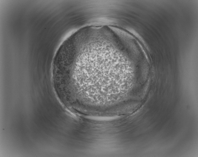 X0000062141477200512301514