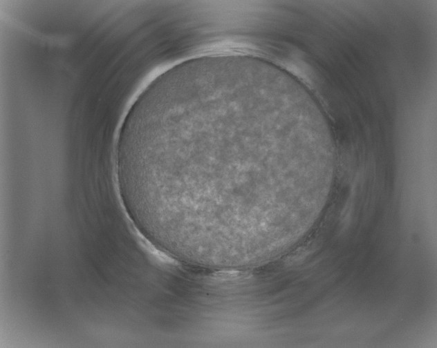 X0000062141478200512301514