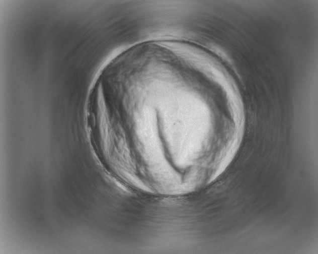 X0000062141480200512301514