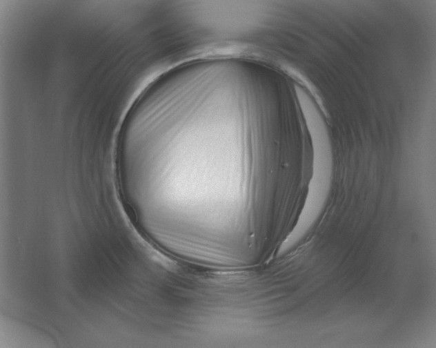 X0000062141483200512301514