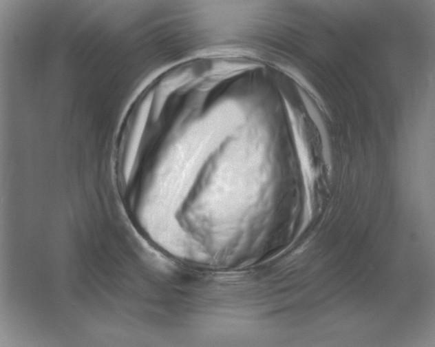 X0000062141484200512301514