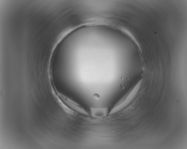 X0000062141485200512301514