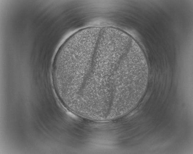 X0000062141486200512301514