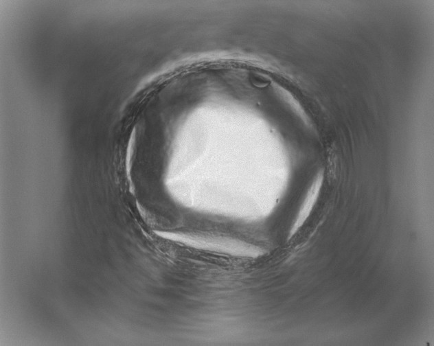 X0000062141494200512301513