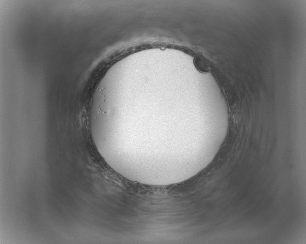 X0000062141495200512301513