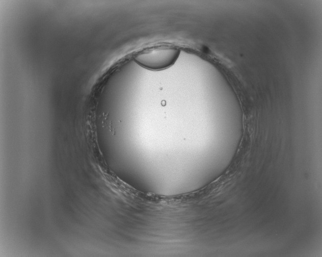 X0000062141496200512301513