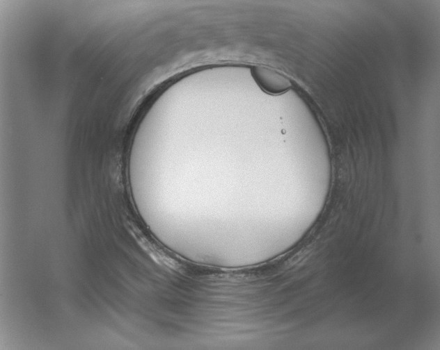 X0000062141499200512301514