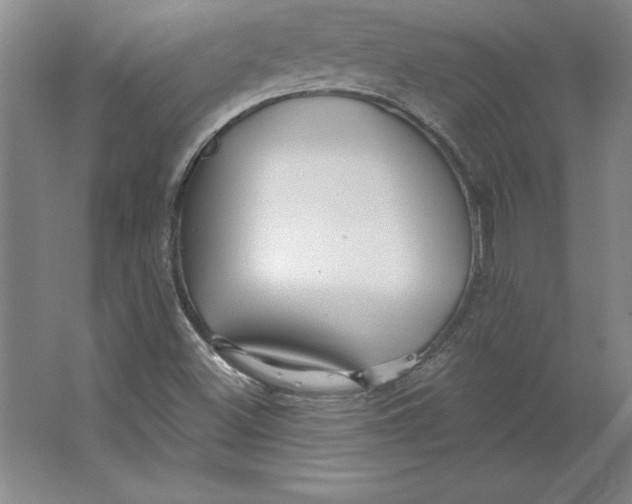 X0000062141500200512301514