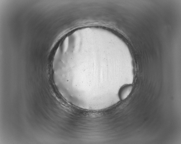 X0000062141501200512301514