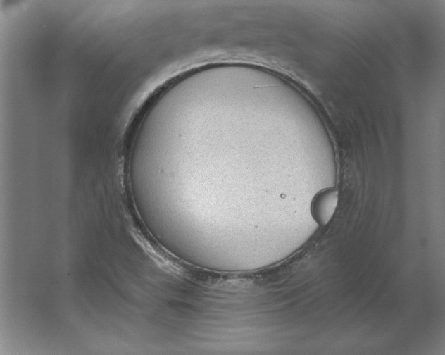 X0000062141503200512301514