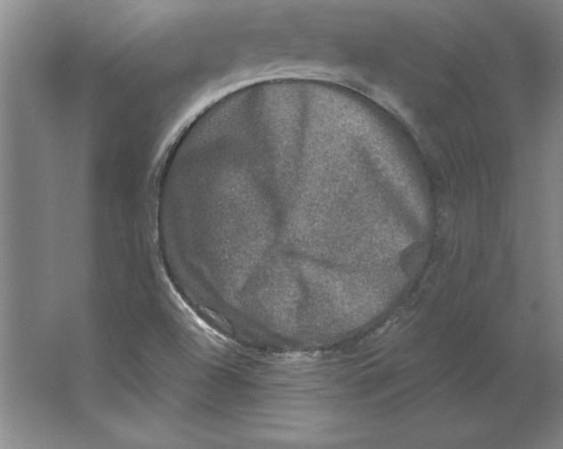 X0000062141504200512301514