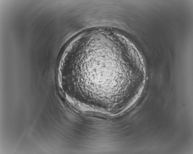 X0000062141505200512301514