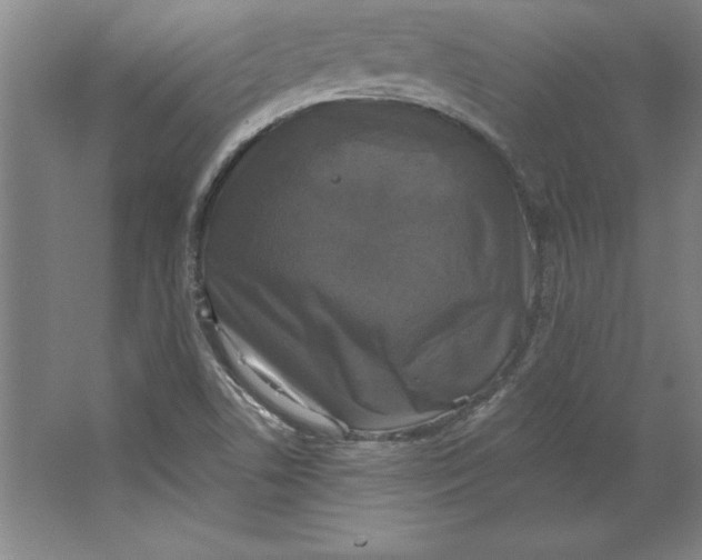 X0000062141506200512301514