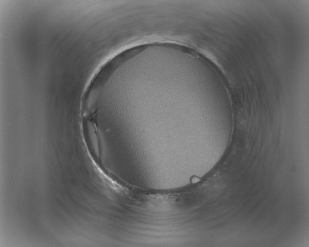 X0000062141508200512301514