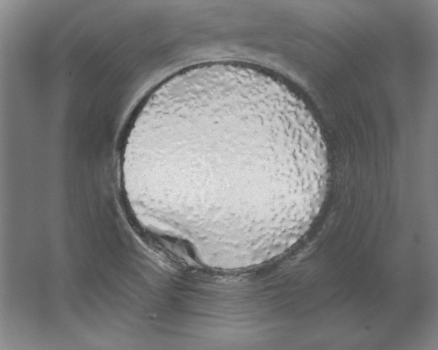 X0000062141509200512301514