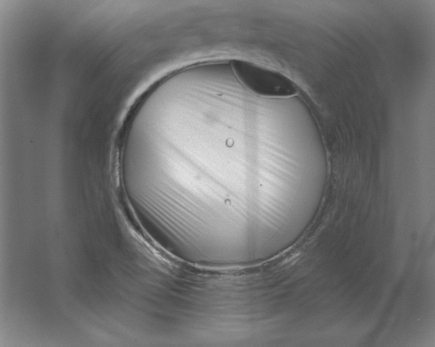 X0000062141510200512301514