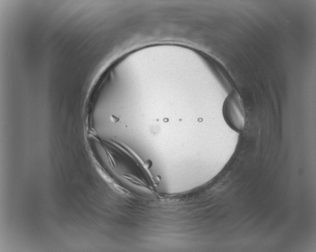 X0000062141511200512301514