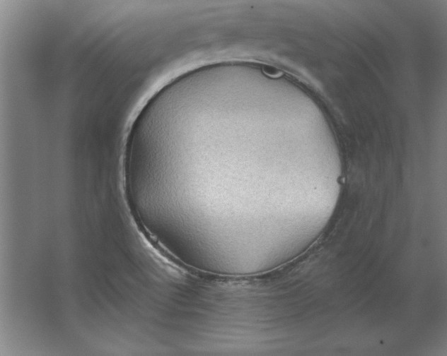 X0000062141512200512301514