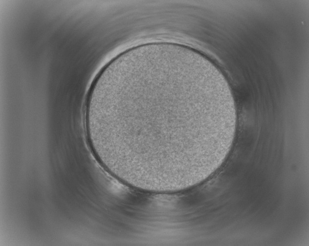 X0000062141514200512301514