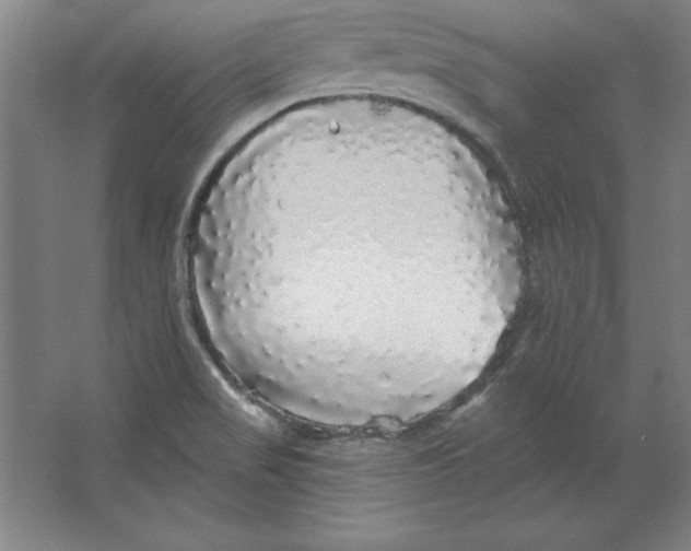 X0000062141517200512301514