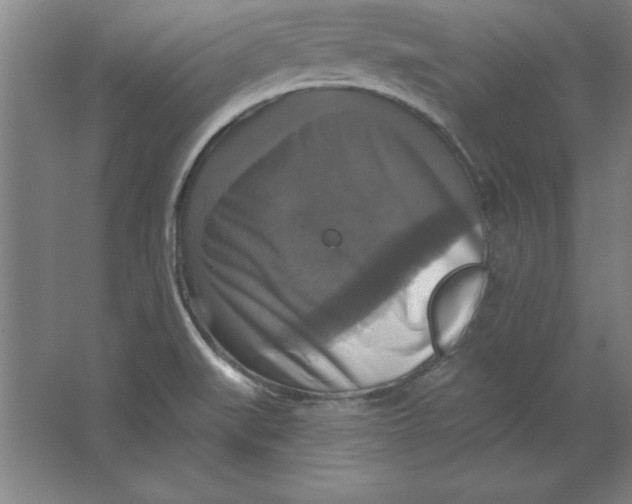 X0000062141519200512301514