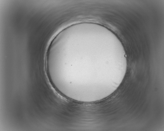 X0000062141520200512301514